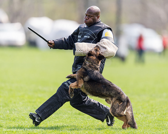 20150508_5011_WDC__brianaghajani.com.jpg
