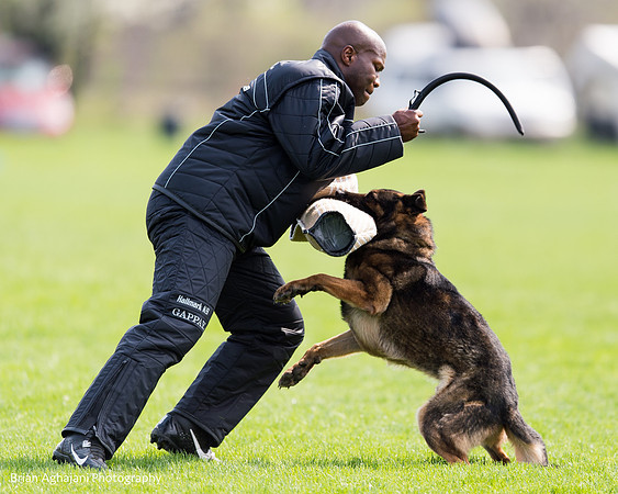 20150508_5017_WDC__brianaghajani.com.jpg