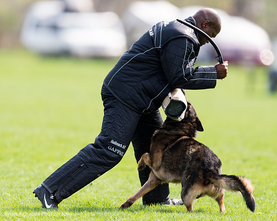 20150508_5024_WDC__brianaghajani.com.jpg