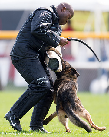 20150508_5029_WDC__brianaghajani.com.jpg