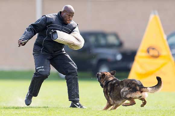 20150508_5031_WDC__brianaghajani.com.jpg