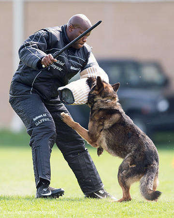 20150508_5033_WDC__brianaghajani.com.jpg