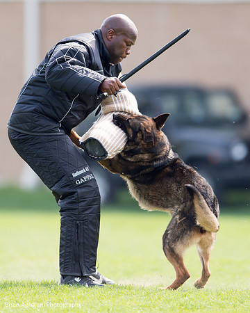 20150508_5034_WDC__brianaghajani.com.jpg