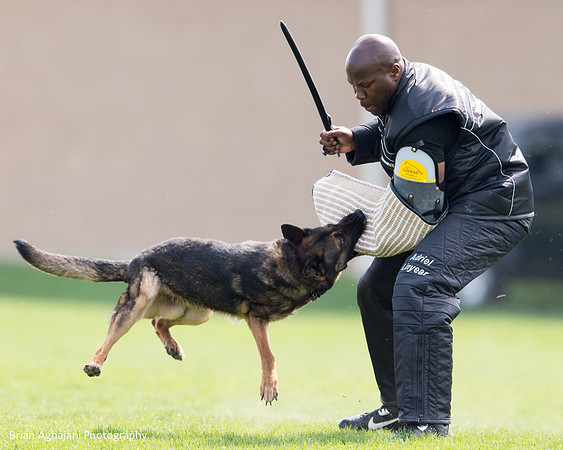 20150508_5038_WDC__brianaghajani.com.jpg