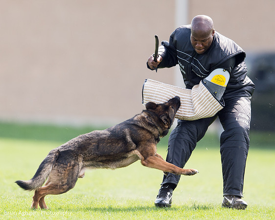 20150508_5040_WDC__brianaghajani.com.jpg