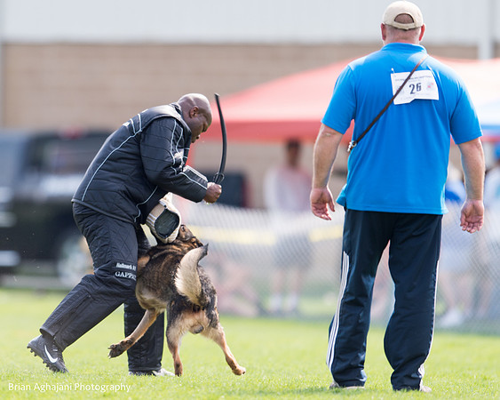 20150508_5048_WDC__brianaghajani.com.jpg