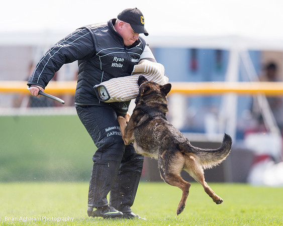 20150508_5067_WDC__brianaghajani.com.jpg