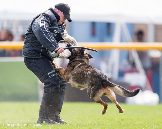 20150508_5068_WDC__brianaghajani.com.jpg