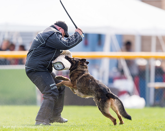 20150508_5069_WDC__brianaghajani.com.jpg