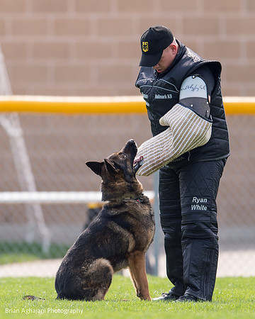 20150508_5084_WDC__brianaghajani.com.jpg
