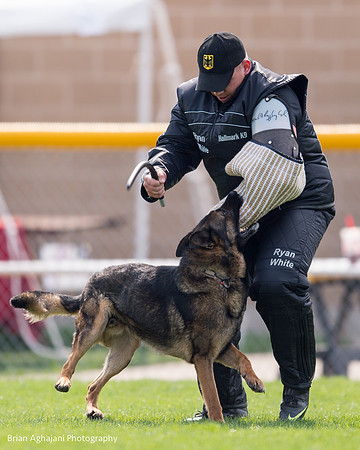 20150508_5094_WDC__brianaghajani.com.jpg