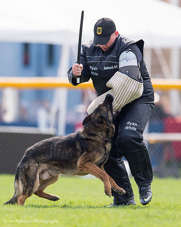 20150508_5102_WDC__brianaghajani.com.jpg