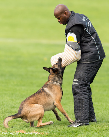 20150509_14814_WDC__brianaghajani.com.jpg