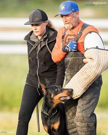 2017-SJGSD-BA- #BA39073-Edit_Ann