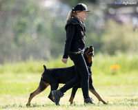 2017-SJGSD-BA- #BA38409-Edit_Ann
