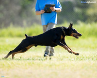 2017-SJGSD-BA- #BA38497-Edit_Ann