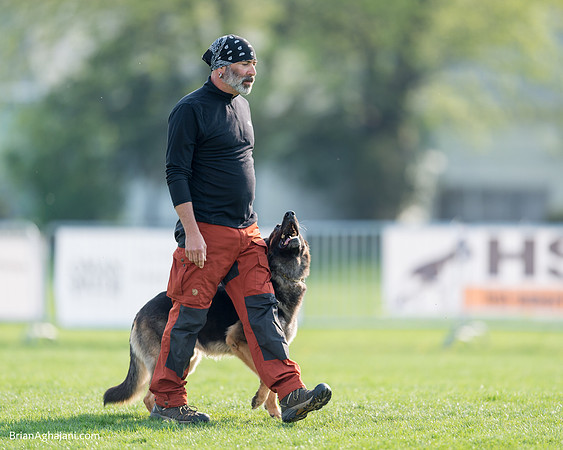 20150509_7977_WDC__brianaghajani.com.RR.jpg