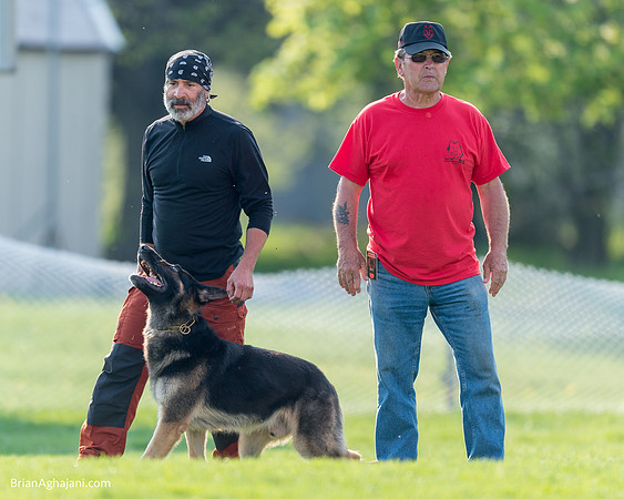 20150509_7994_WDC__brianaghajani.com.RR.jpg