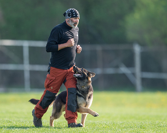 20150509_8008_WDC__brianaghajani.com.RR.jpg