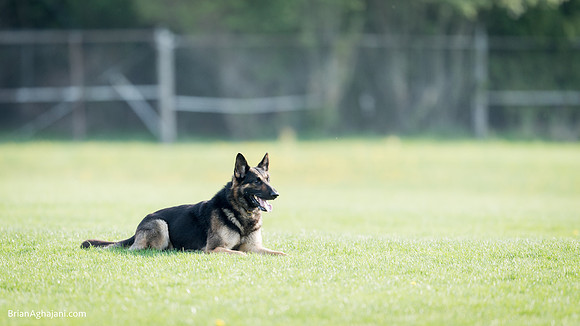 20150509_8059_WDC__brianaghajani.com.RR.jpg