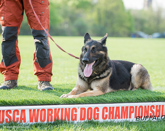 20150509_8183_WDC__brianaghajani.com.RR.jpg