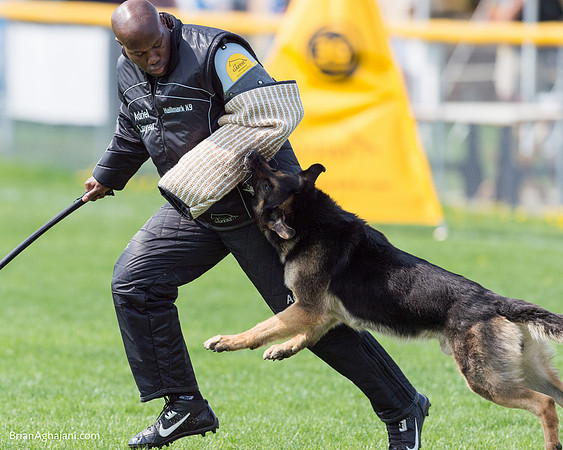 20150509_9086_WDC__brianaghajani.com.RR.jpg