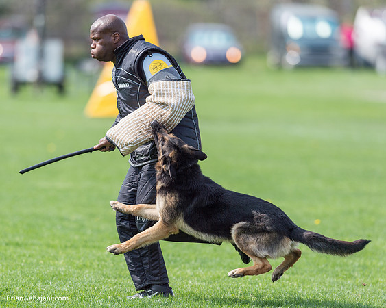 20150509_9091_WDC__brianaghajani.com.RR.jpg