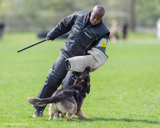 20150509_9104_WDC__brianaghajani.com.RR.jpg