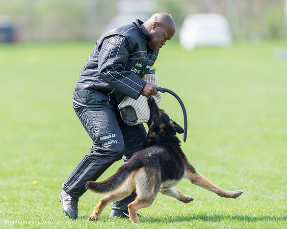 20150509_9116_WDC__brianaghajani.com.RR.jpg