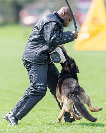 20150509_9122_WDC__brianaghajani.com.RR.jpg