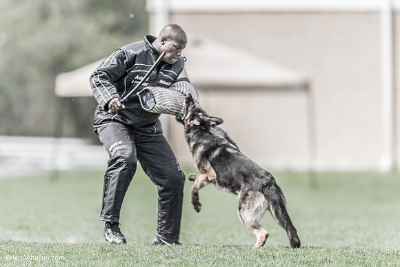 20150509_9133_WDC__brianaghajani.com.RR.jpg