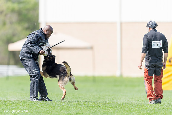 20150509_9134_WDC__brianaghajani.com.RR.jpg