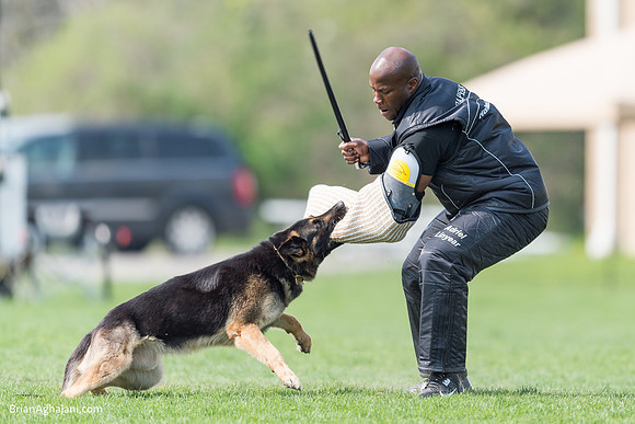 20150509_9142_WDC__brianaghajani.com.RR.jpg