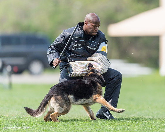 20150509_9147_WDC__brianaghajani.com.RR.jpg