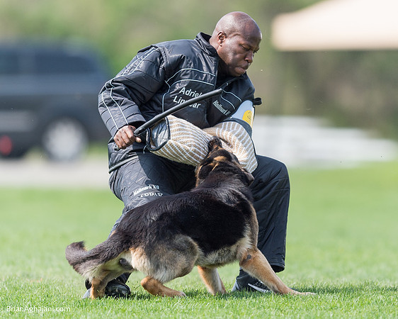 20150509_9148_WDC__brianaghajani.com.RR.jpg