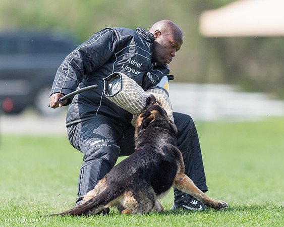 20150509_9149_WDC__brianaghajani.com.RR.jpg