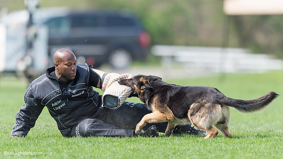 20150509_9150_WDC__brianaghajani.com.RR.jpg