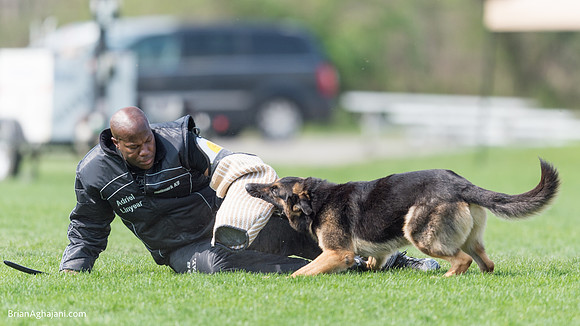 20150509_9151_WDC__brianaghajani.com.RR.jpg