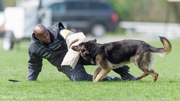 20150509_9152_WDC__brianaghajani.com.RR.jpg