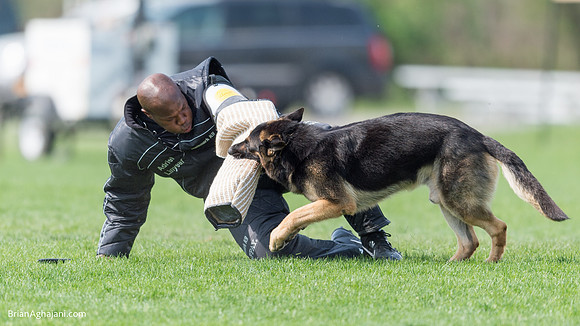 20150509_9153_WDC__brianaghajani.com.RR.jpg