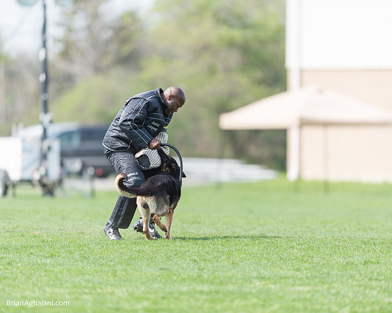 20150509_9160_WDC__brianaghajani.com.RR.jpg
