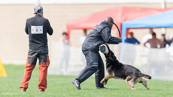 20150509_9173_WDC__brianaghajani.com.RR.jpg