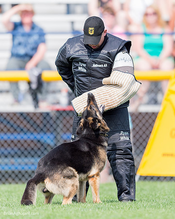 20150509_9231_WDC__brianaghajani.com.RR-2.jpg