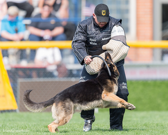 20150509_9241_WDC__brianaghajani.com.RR.jpg