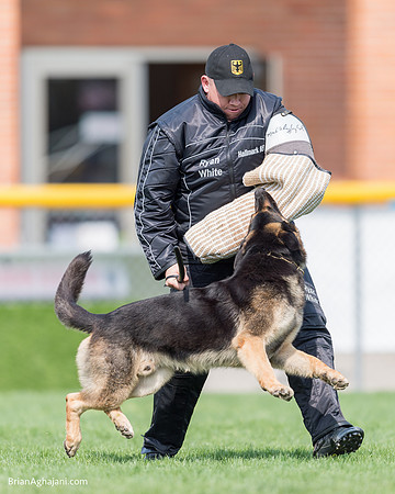 20150509_9245_WDC__brianaghajani.com.RR.jpg