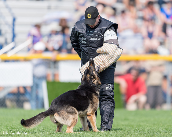 20150509_9258_WDC__brianaghajani.com.RR.jpg