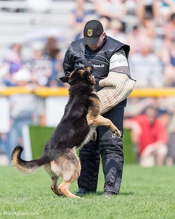 20150509_9264_WDC__brianaghajani.com.RR.jpg