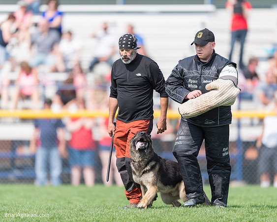 20150509_9282_WDC__brianaghajani.com.RR.jpg