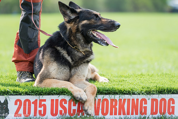 20150509_9302_WDC__brianaghajani.com.RR.jpg