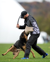 20181102_BrianAghajani_01483-2